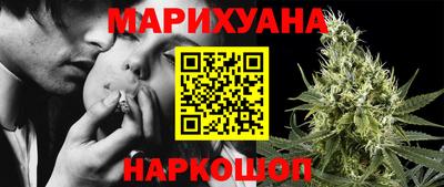 Альфа ПВП Бердск