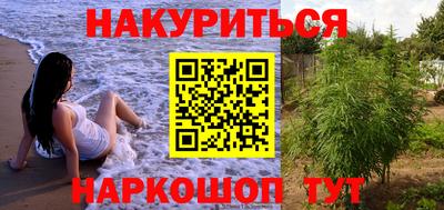 Альфа ПВП Бердск