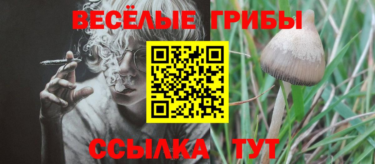 Псилоцибиновые грибы мицелий Кирово-Чепецк