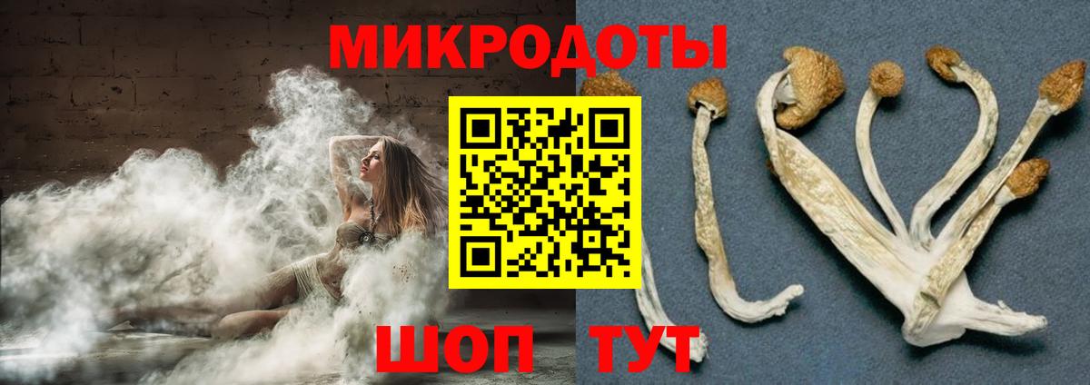 Кирово-Чепецк  Галлюциногенные грибы Magic Shrooms  Вход с VPN 